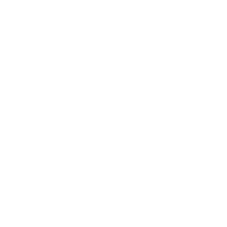 LIVE